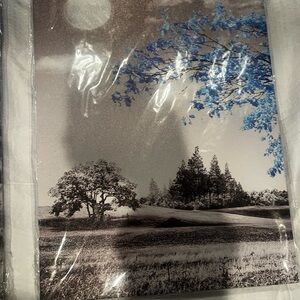 Scenic Landscape Canvas Art set of 3